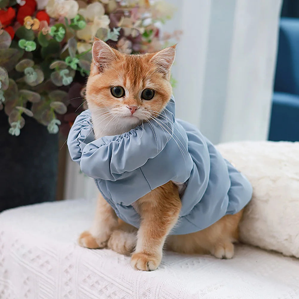 Cozy Winter Pet Jacket – Warm Padded Coat for Small Dogs