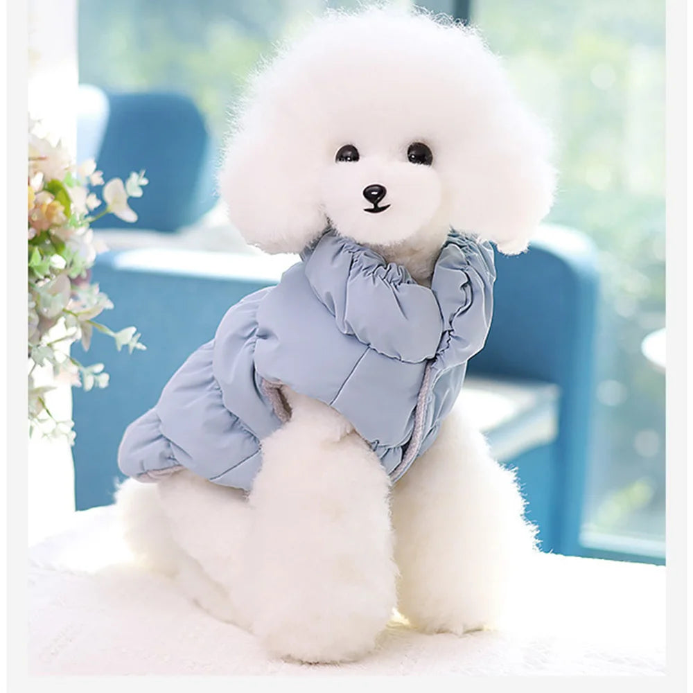 Cozy Winter Pet Jacket – Warm Padded Coat for Small Dogs